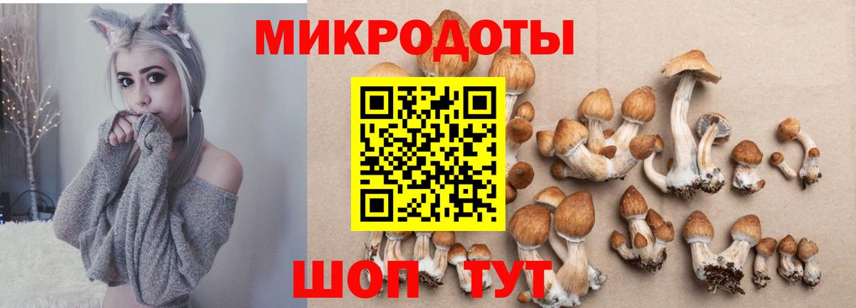 Псилоцибиновые грибы Psilocybine cubensis  Галлюциногенные грибы Psilocybe  купить  цена  Вход с VPN  Кирово-Чепецк 
